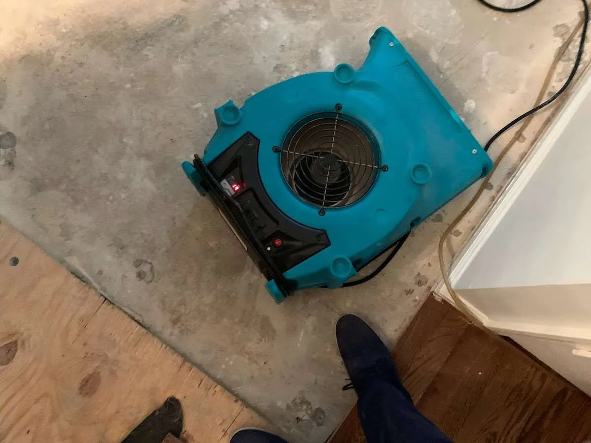 Air mover drying subfloor during Leak Detection & Repair in Blair